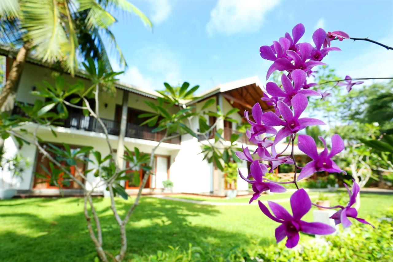 Villa Peacock Walahanduwa Ngoại thất bức ảnh