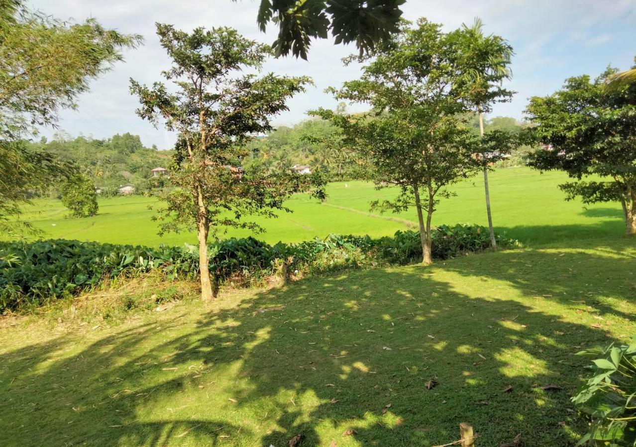 Villa Peacock Walahanduwa Ngoại thất bức ảnh